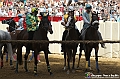 VBS_1021 - Palio di Asti 2024